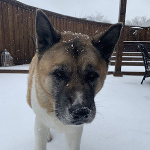 Meet your Posher, Caitlin